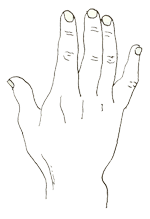 원시형(原始形)의 손